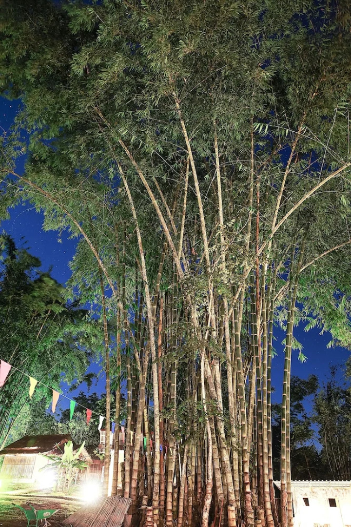 Saranghae Resort Chiang Dao