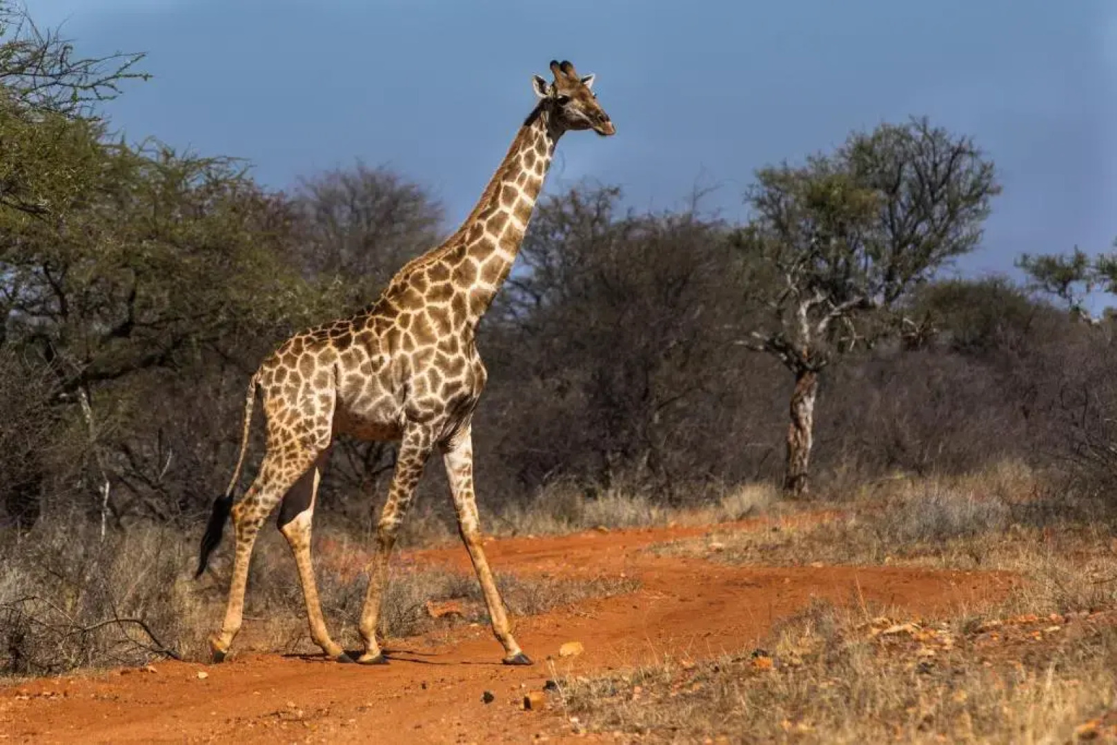 Palala Boutique Game Lodge & Spa