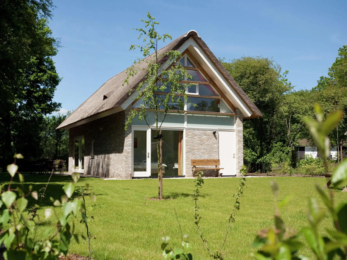 Luxury 2 bathroom villa with solarium, 8 km. from Hoogeveen