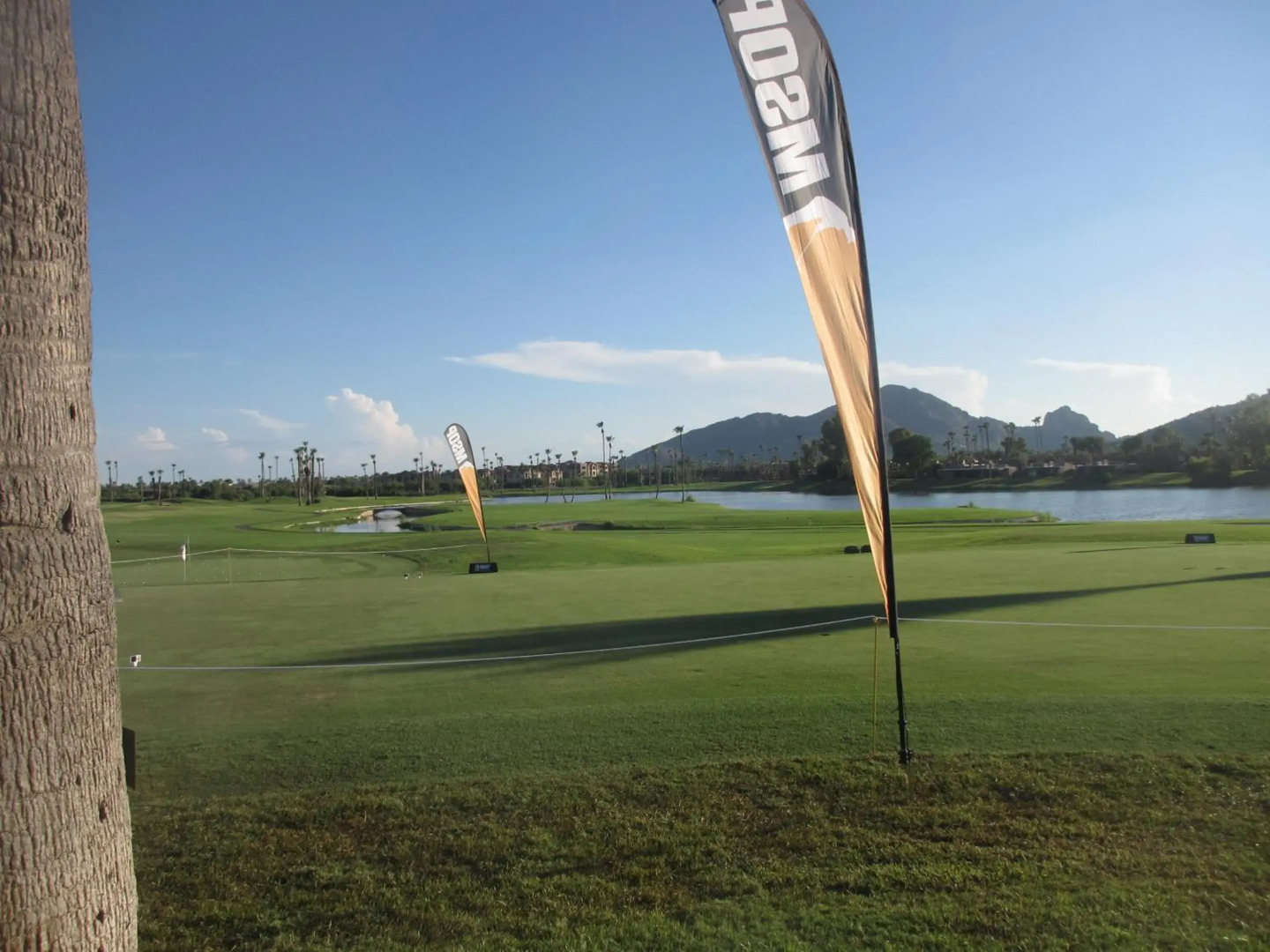 The McCormick Scottsdale