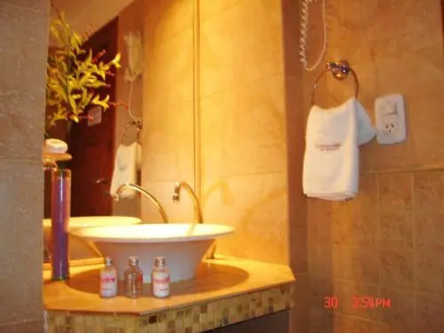 El Remanso del Bosque Apart