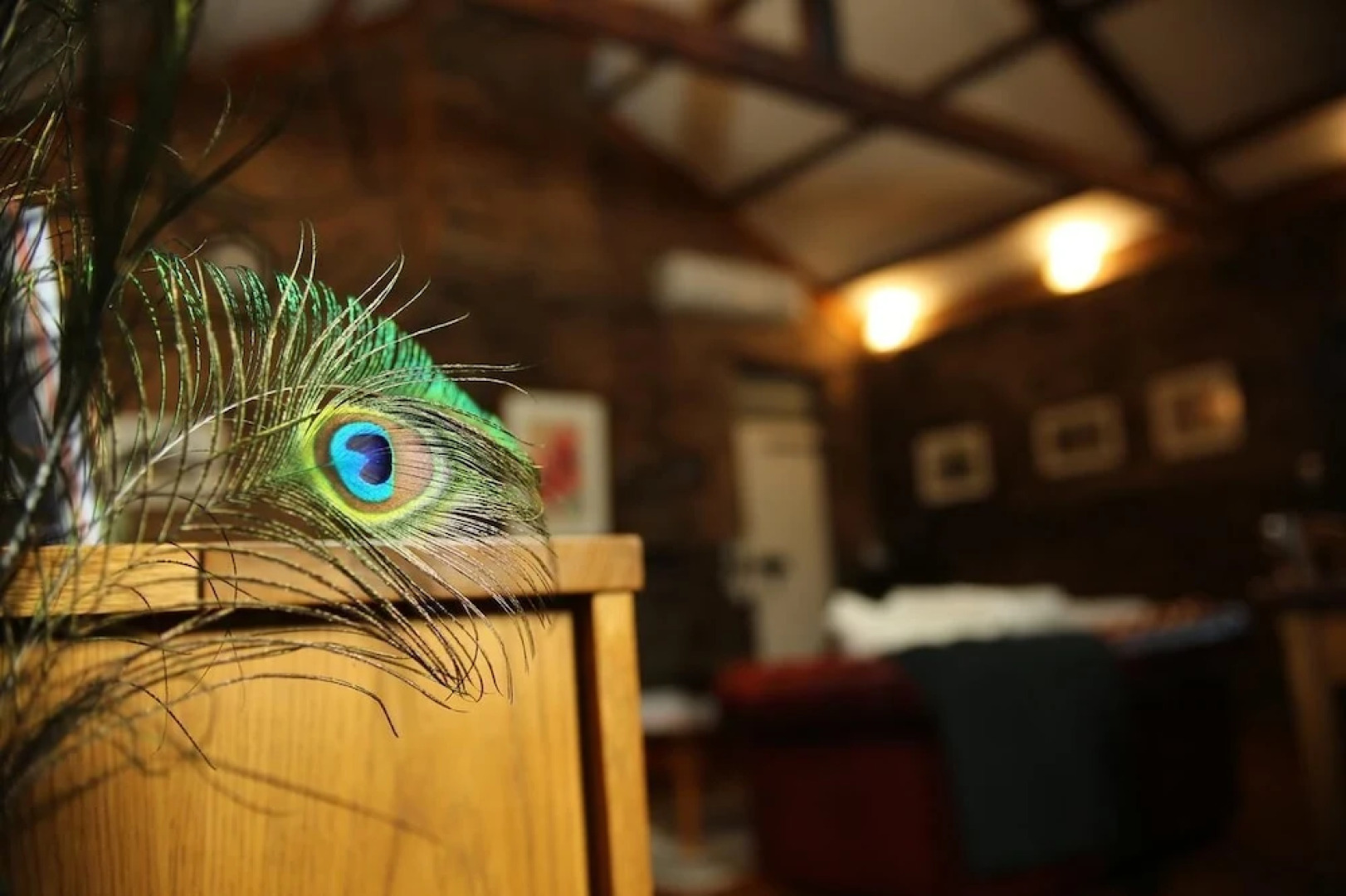 Redwood Studio - Adults Only