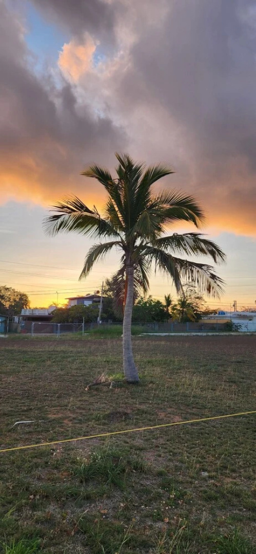 Ocean Village at Combate