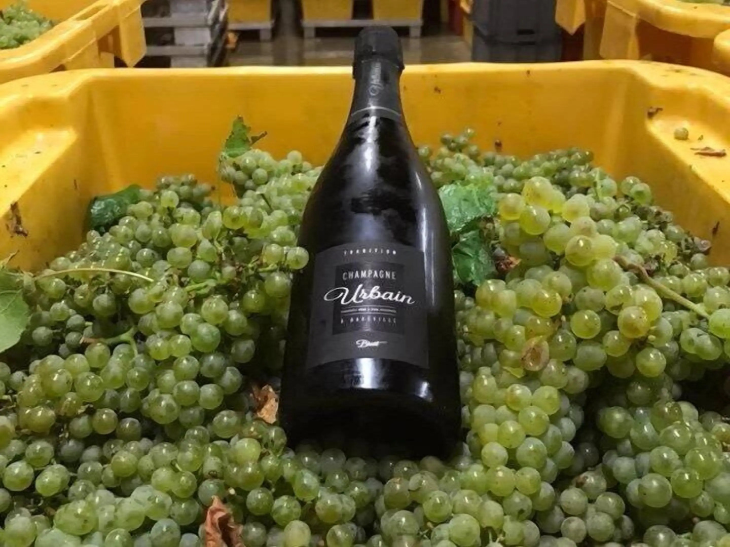 Champagne Urbain