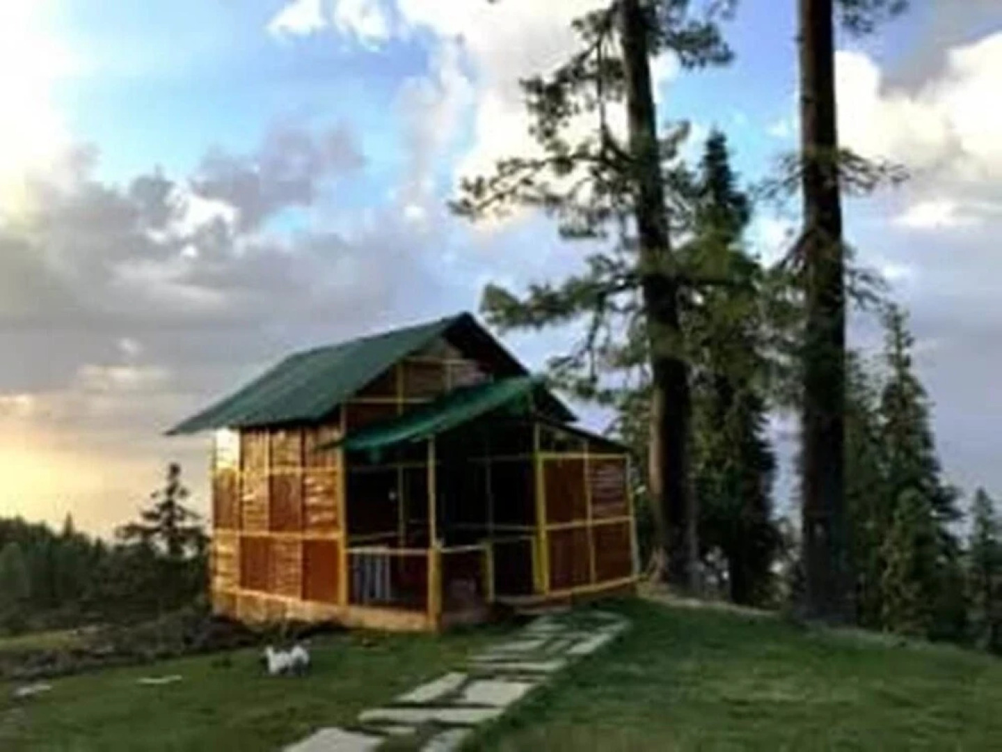 Nature Camp Forest Corporation