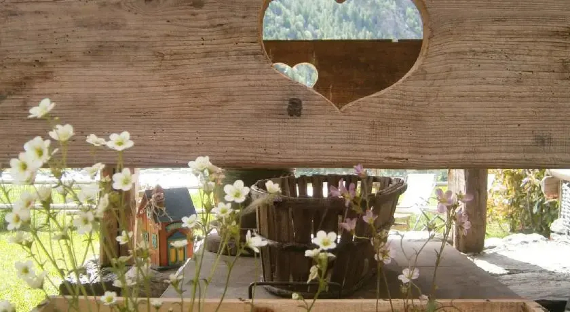 B&B Il Canto del Bosco