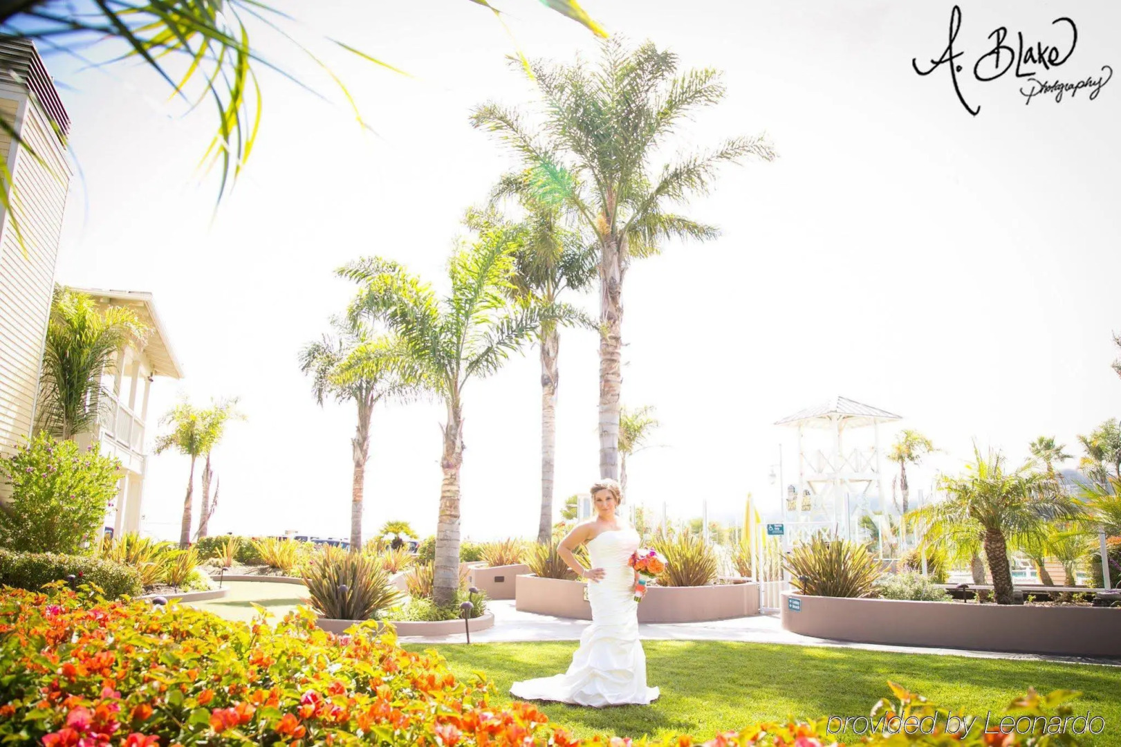 Avila Lighthouse Suites