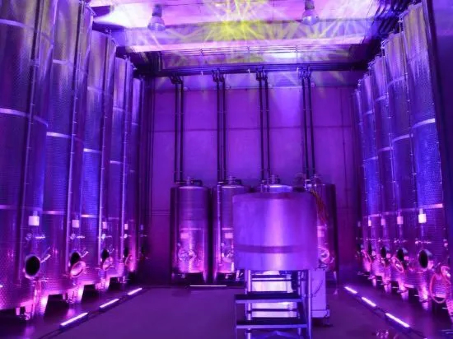 Wine Grower's Mansion Zlati Gric