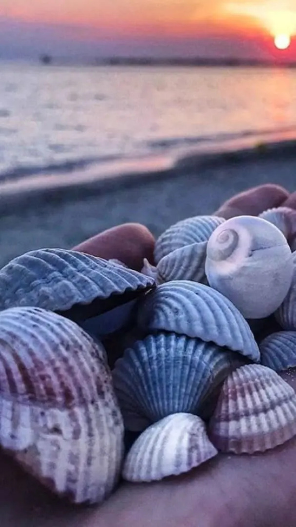 Sabbia Bianca Affittacamere