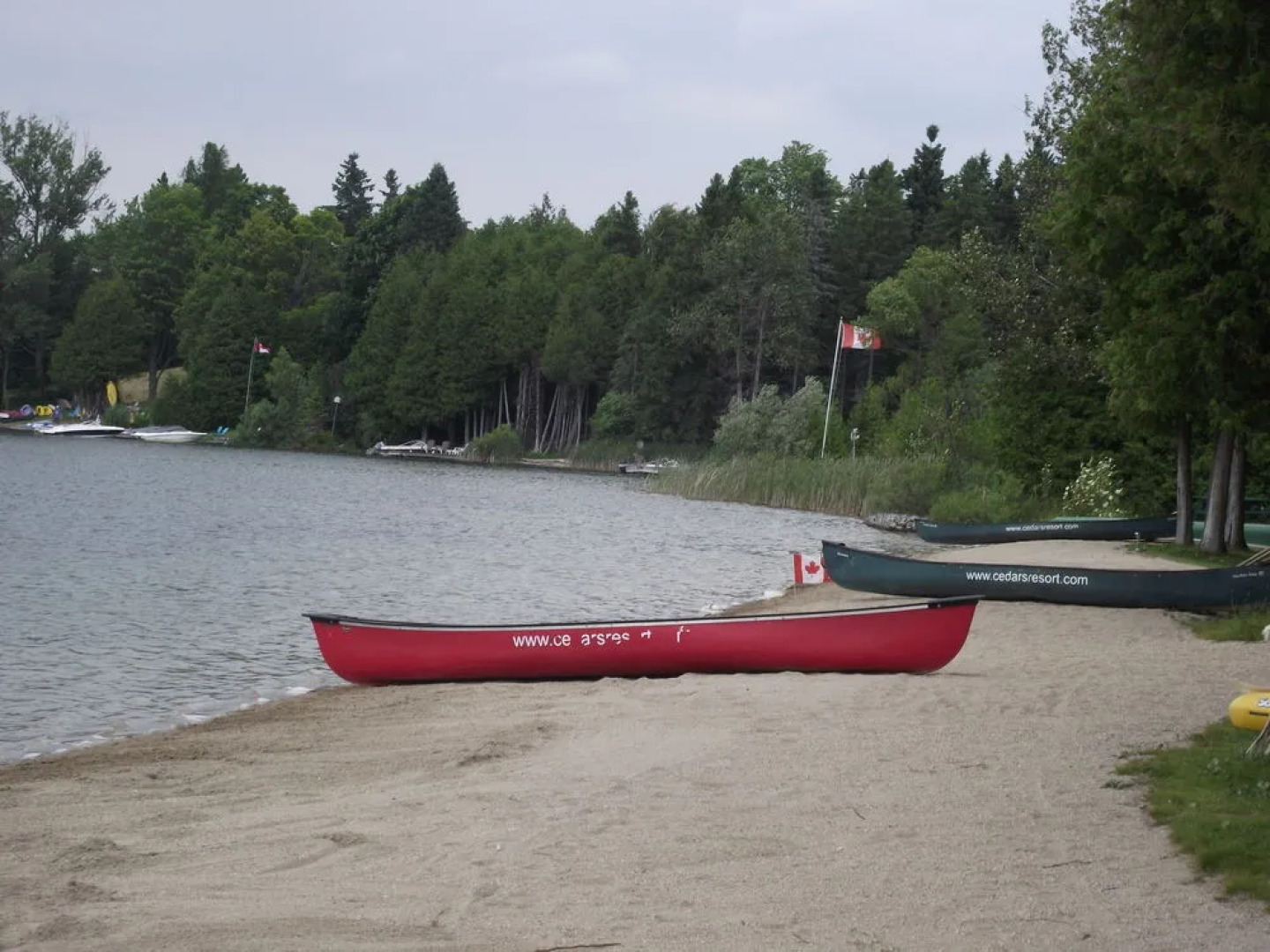 Cedars of Lake Eugenia - Cottage Resort