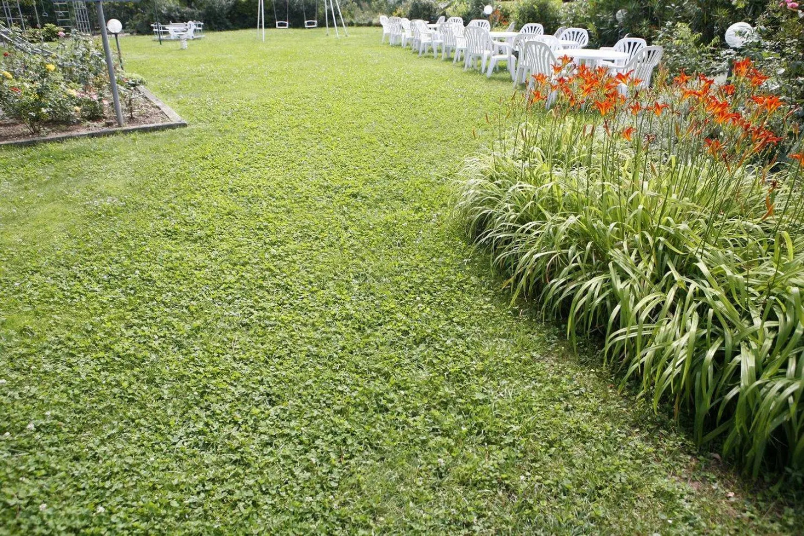 Cavallo Hotel Verona Est