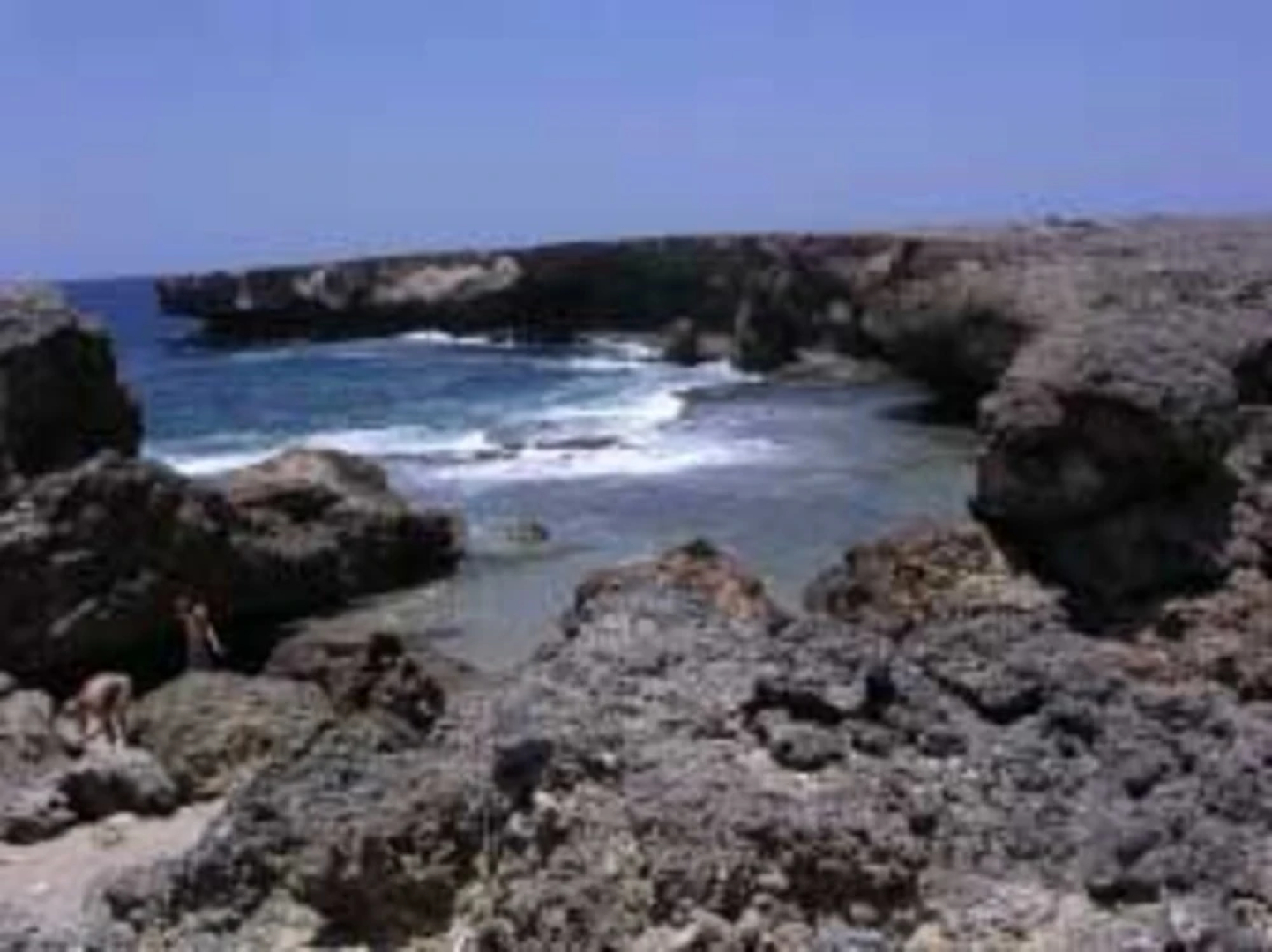 Bonaire Fun Apartments