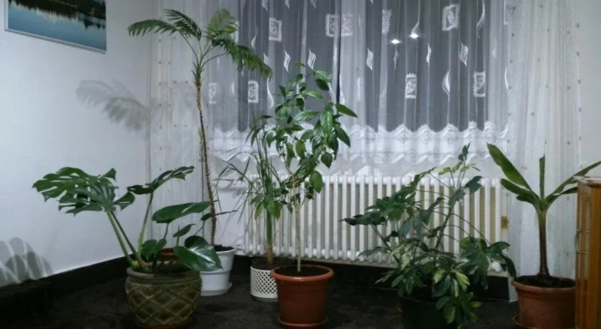 Sunnystreet Guesthouse