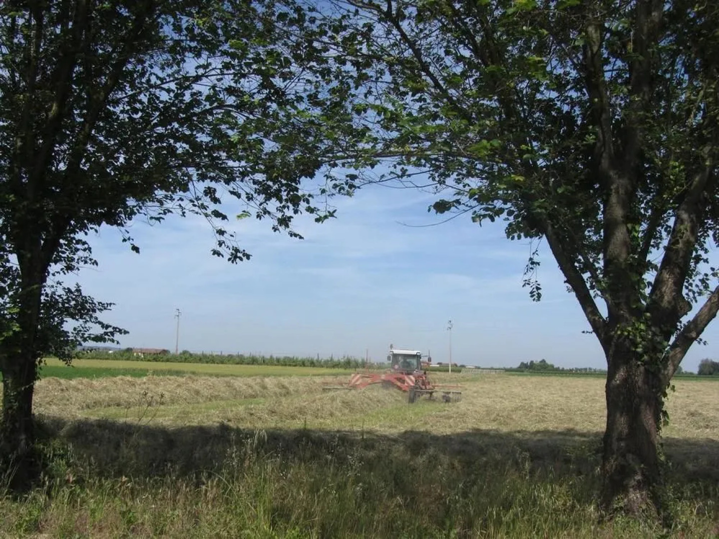 Agriturismo Ravaglia Grande