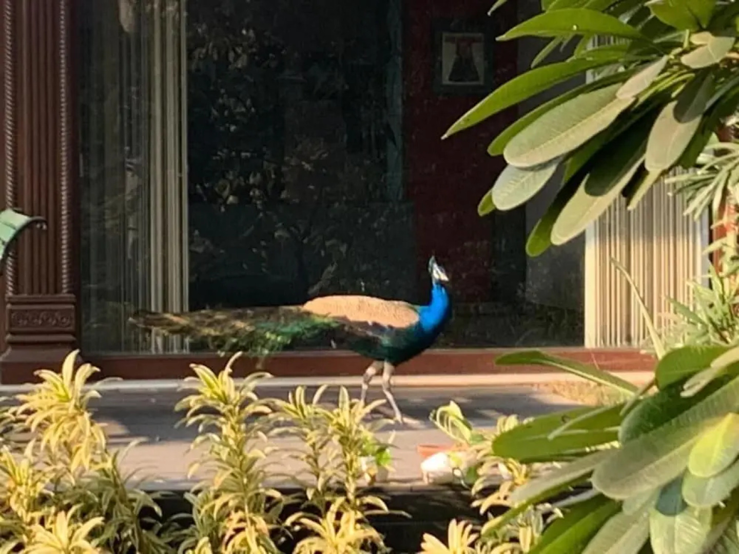 Best Western Radha Ashok