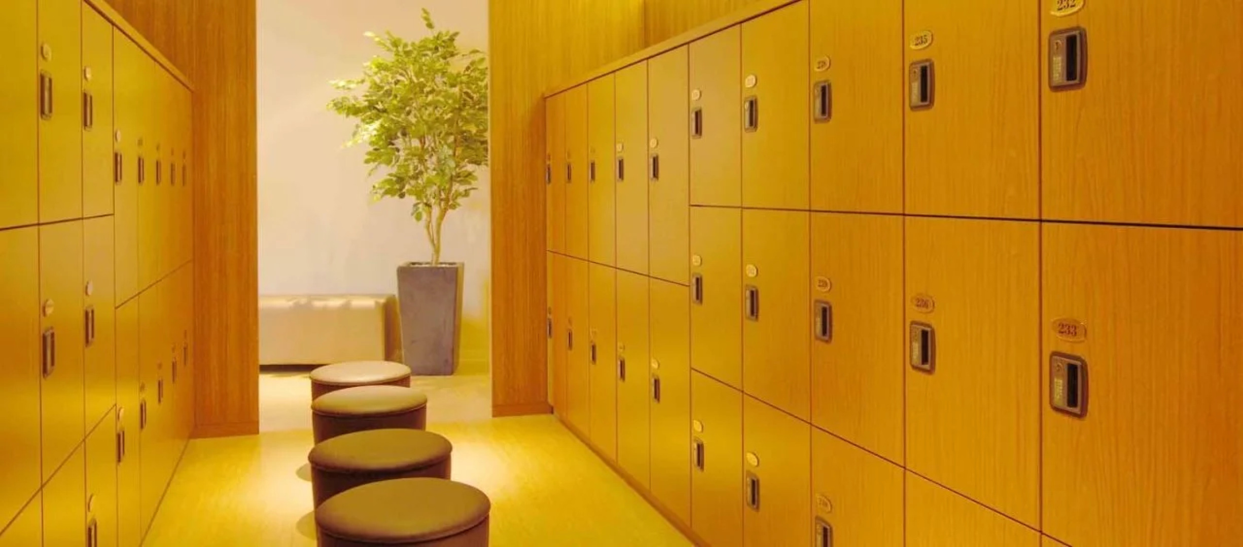 Maihama View Hotel by HULIC