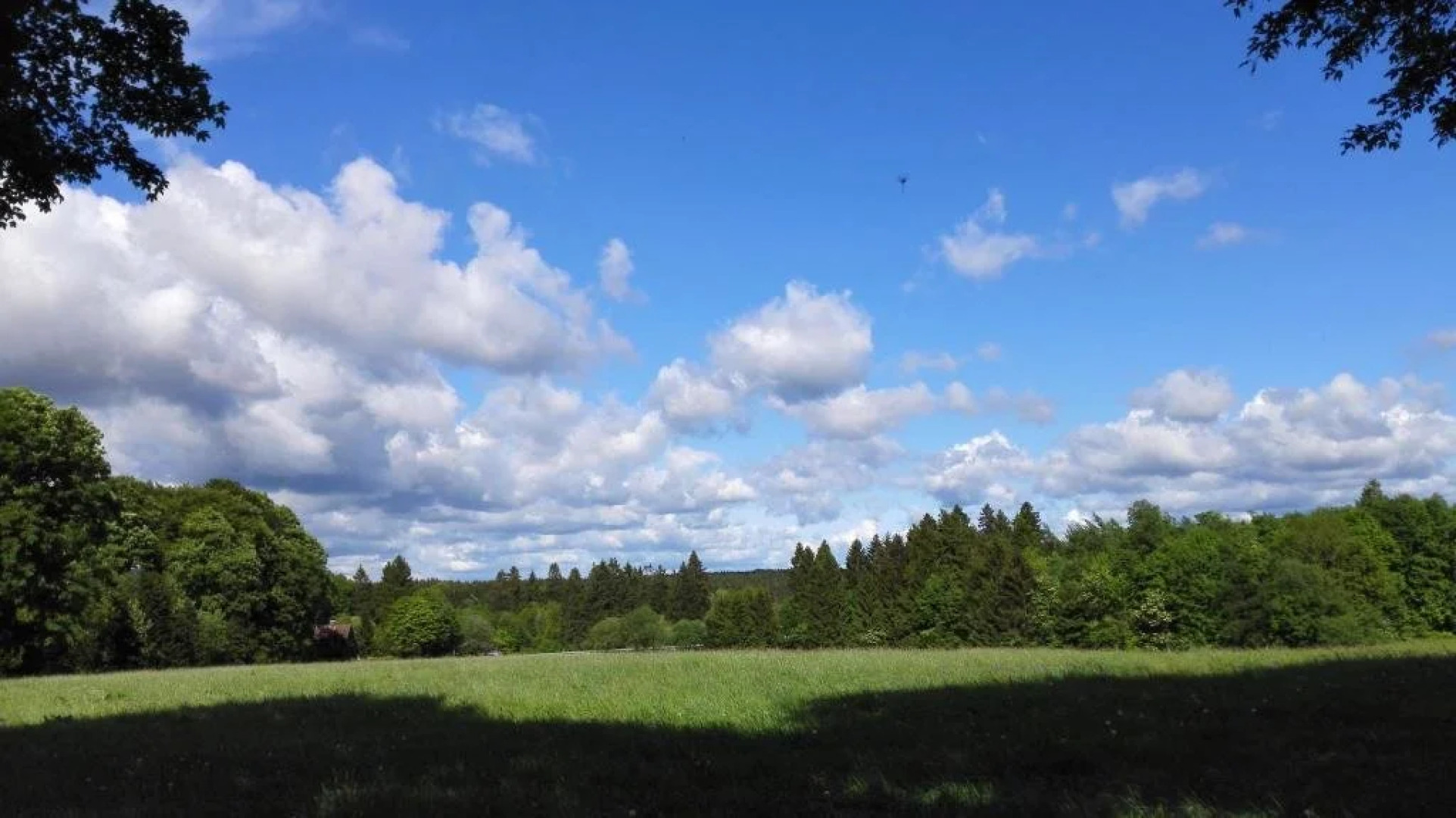 Waldhotel Untermühle