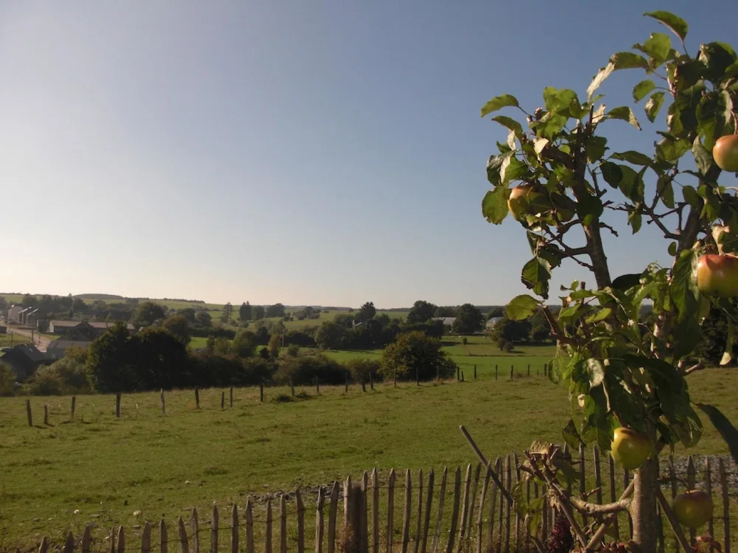 House With 3 Bedrooms in Vaux-sur-sûre, With Wonderful Mountain View,