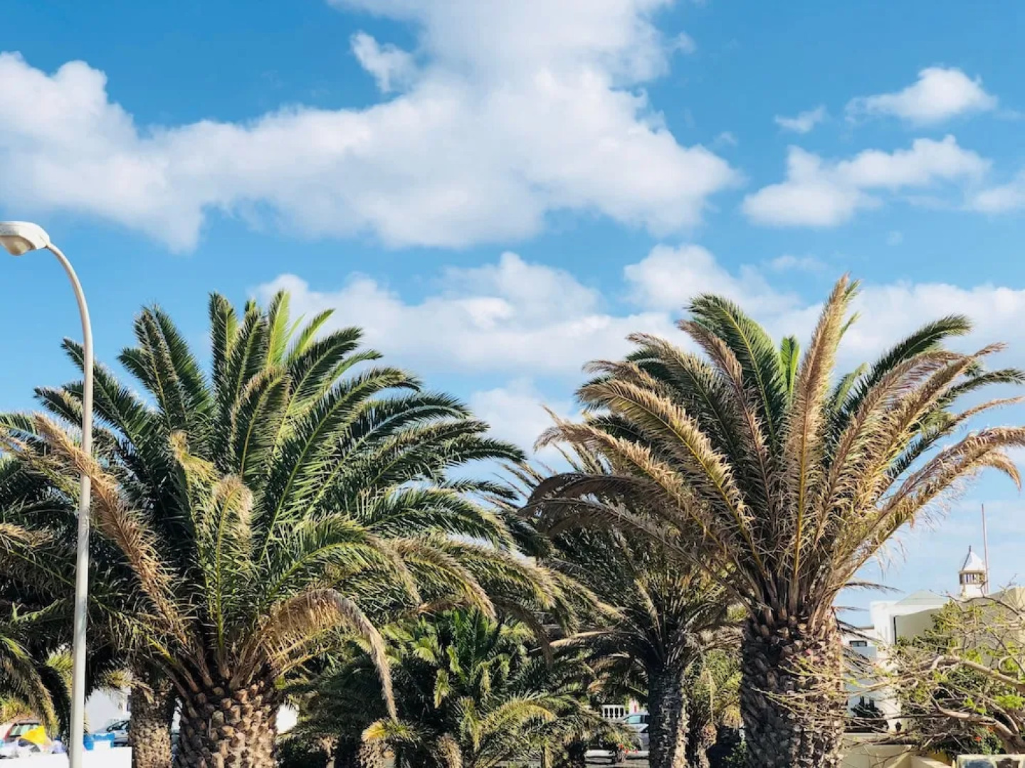 Apartamentos Boya Beach