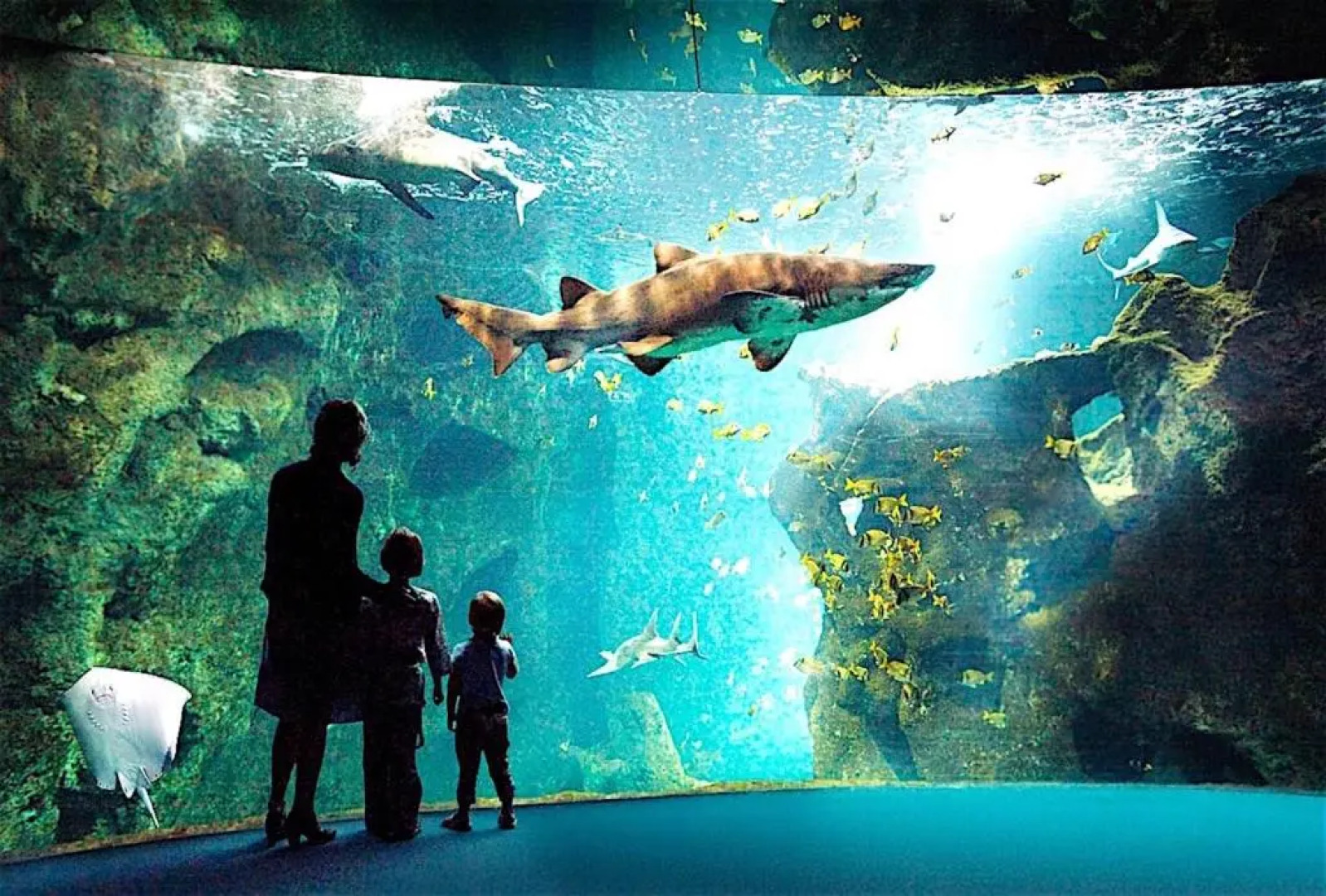 Apartment La Rochelle