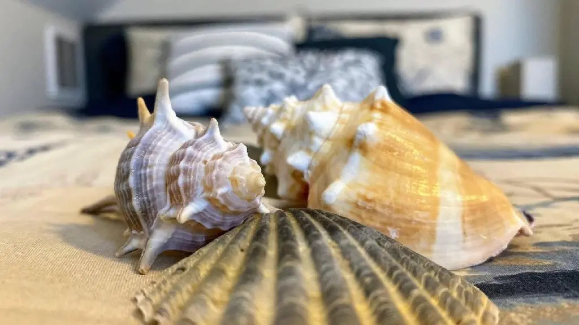 Room in Guest room - Room 3 Cozy Private Enjoy Relax