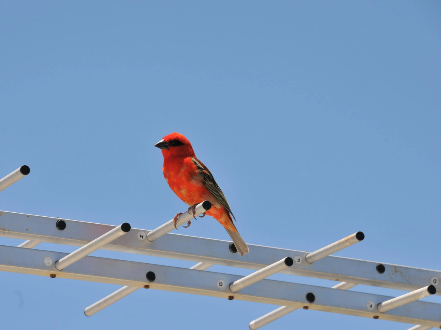 Trou Aux Biches Self Catering Apartment