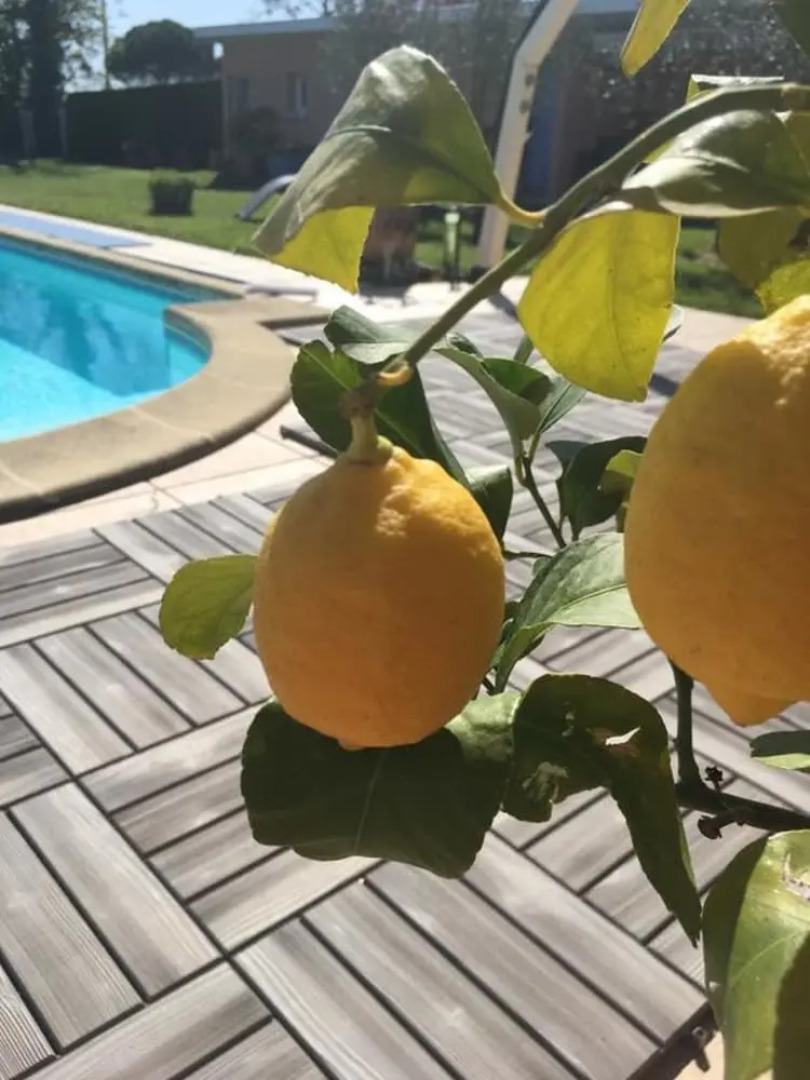 Chambre D'hôtes Maranje