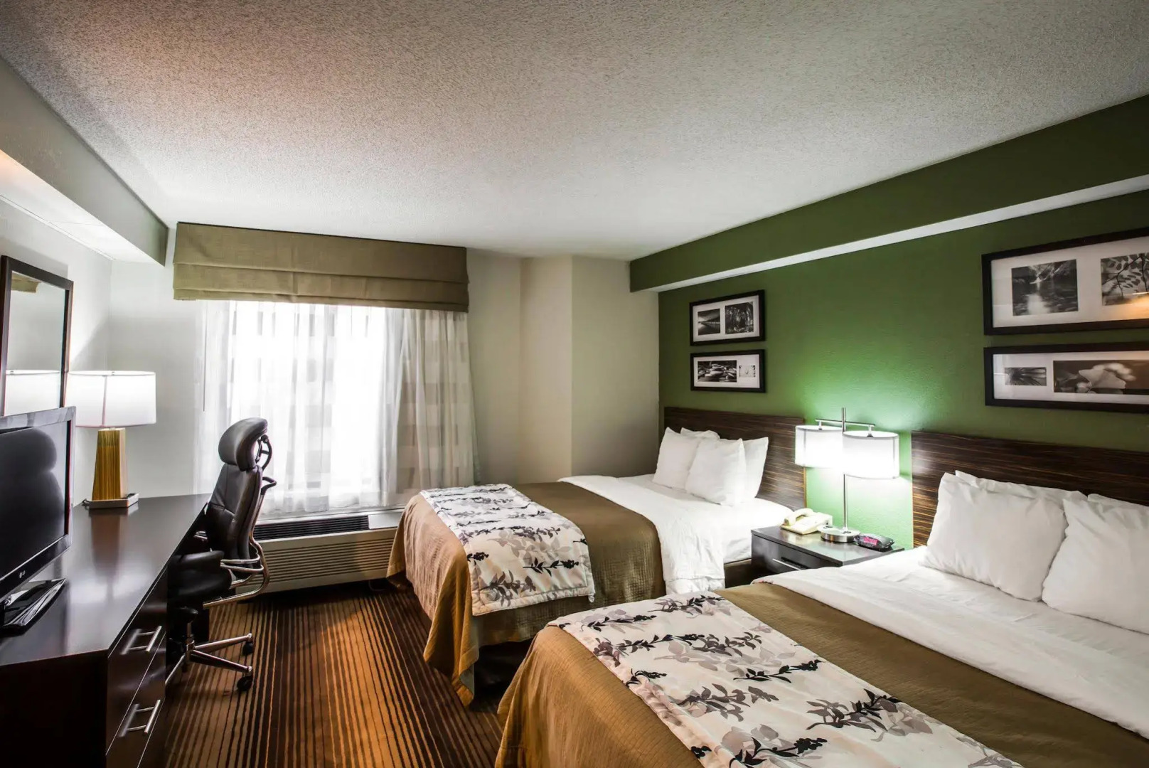 Sleep Inn & Suites Kingsport TriCities Airport