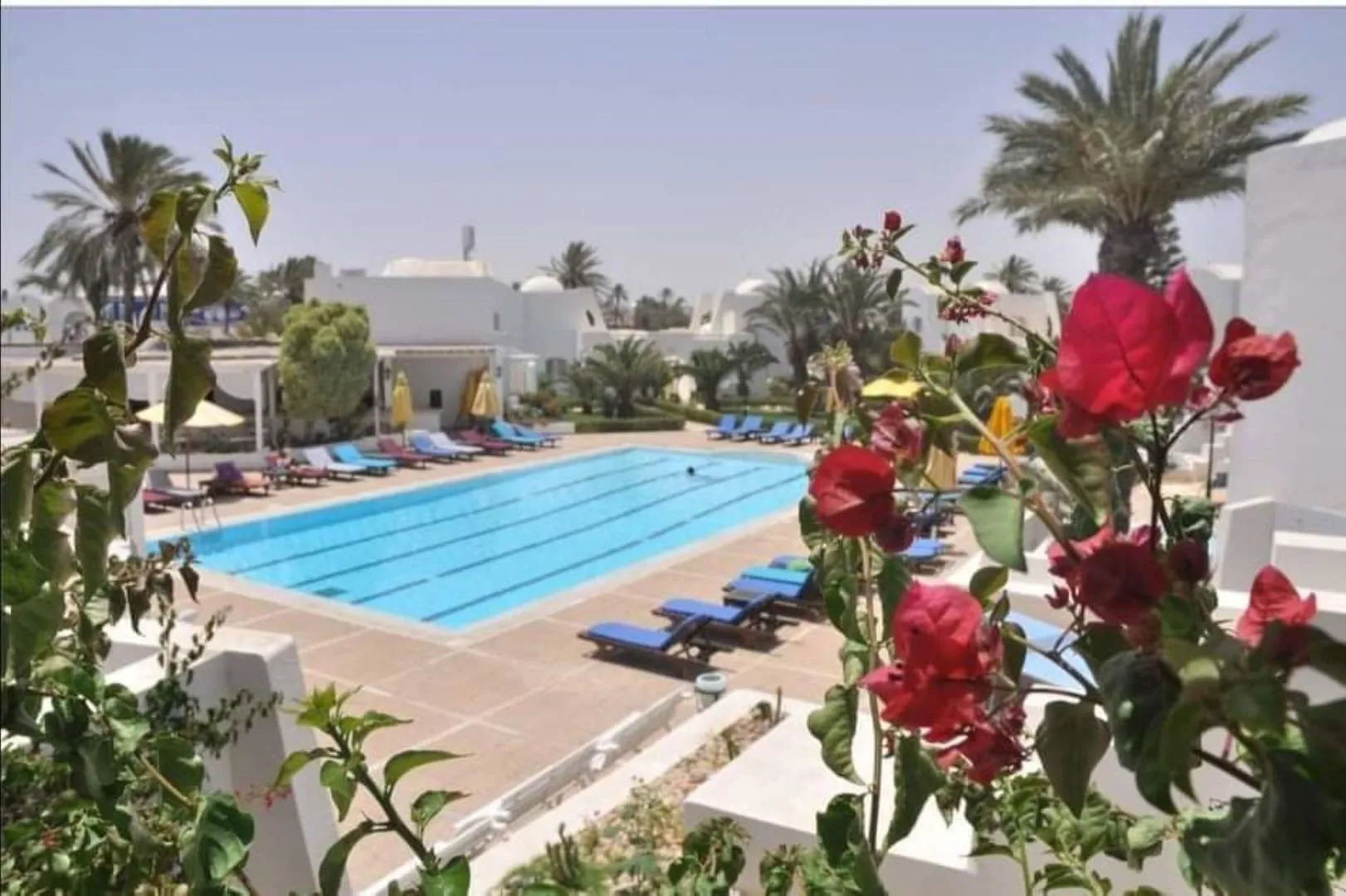 Zenon Hotel Djerba