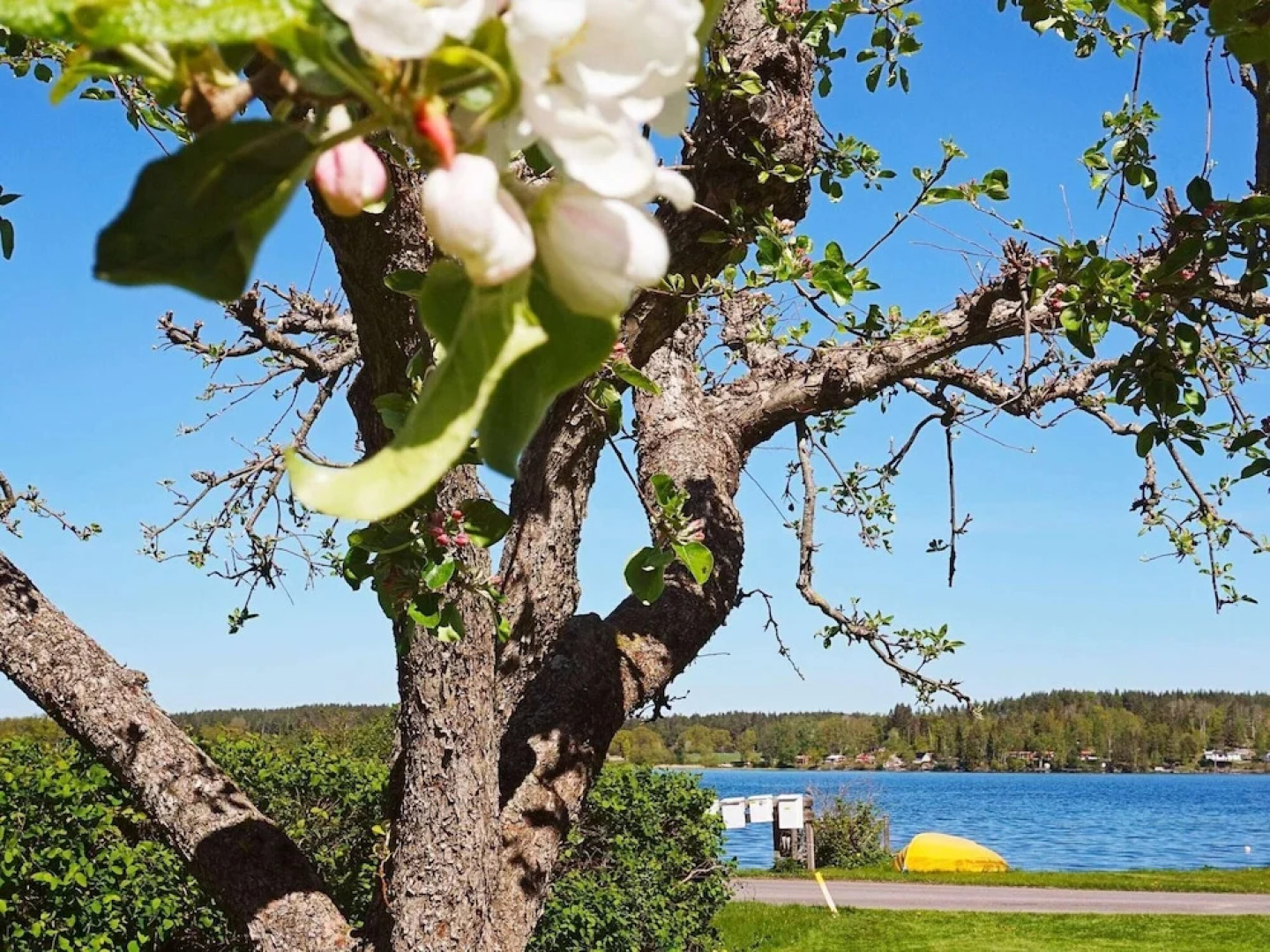 4 Person Holiday Home in Vreta