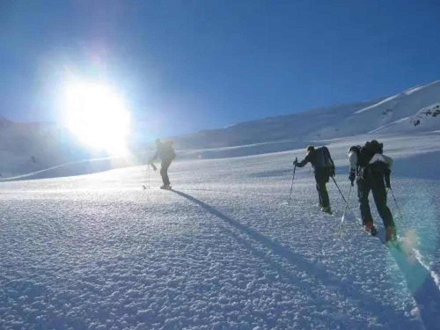 Erlebnisgasthof Alpina