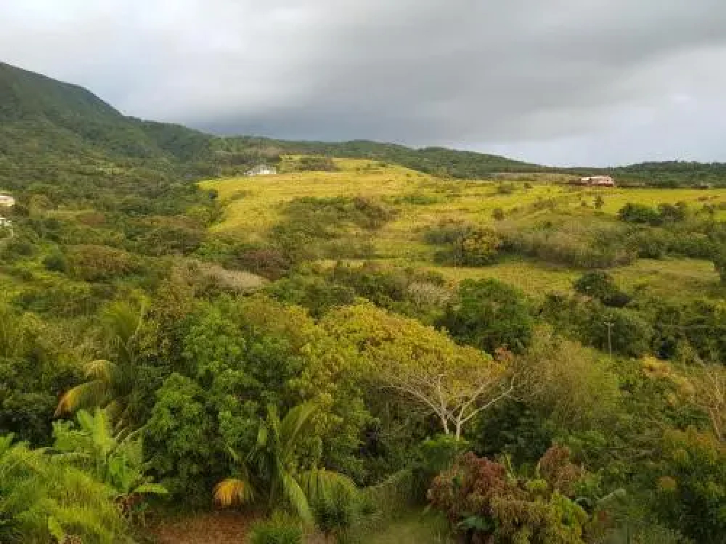 Valley View Property