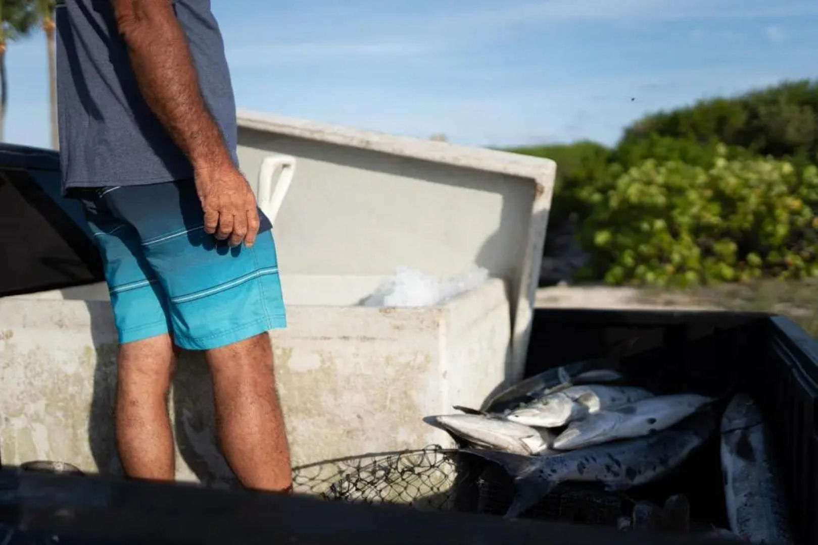 Fisher Inn Resort & Marina