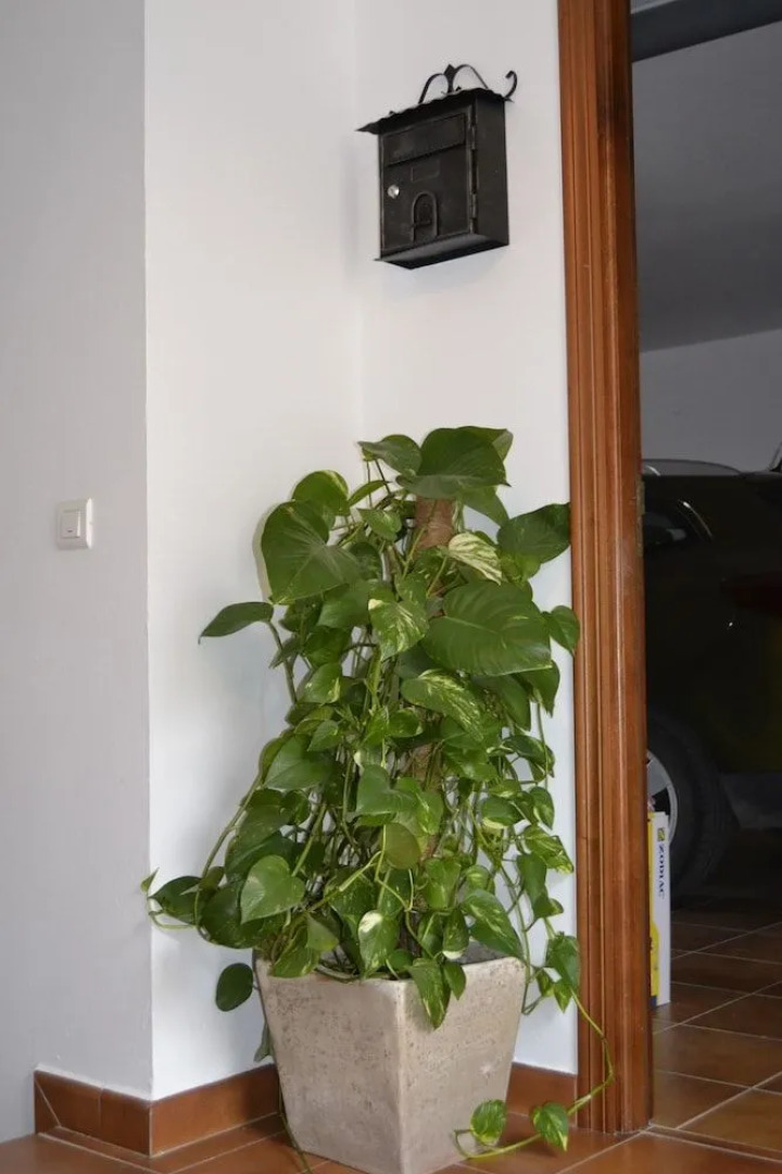 Apartamentos Quercus