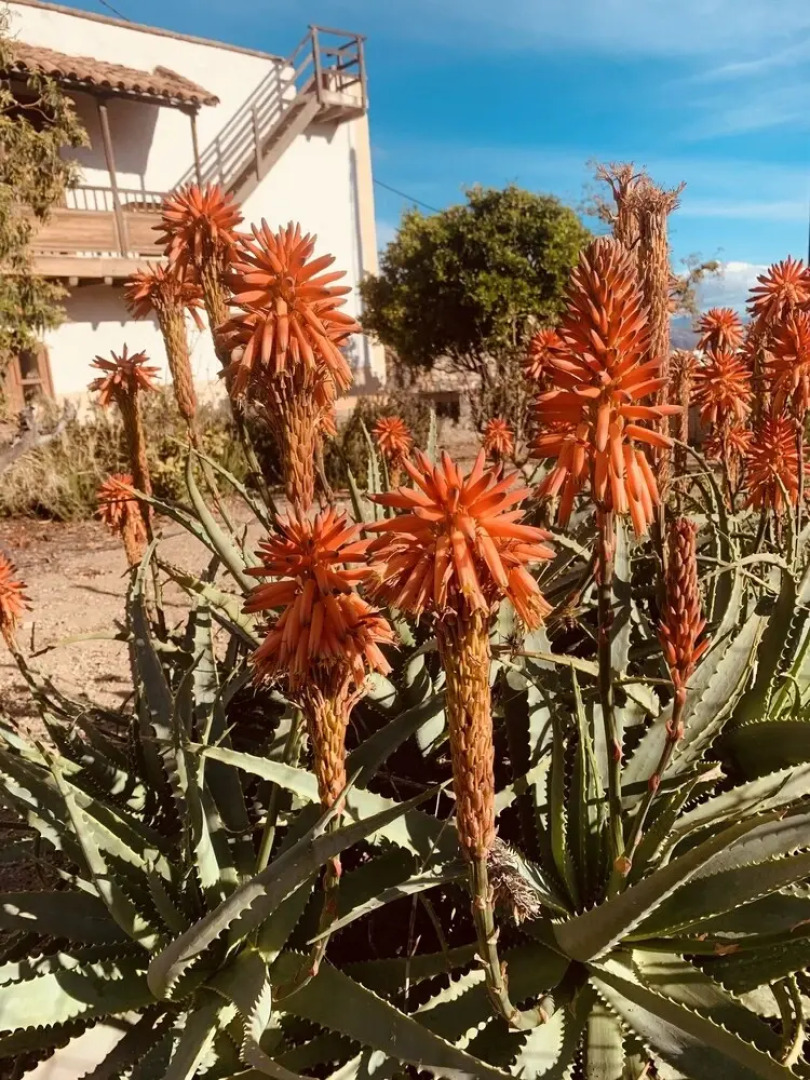 Hotel Rural Casa El Riego