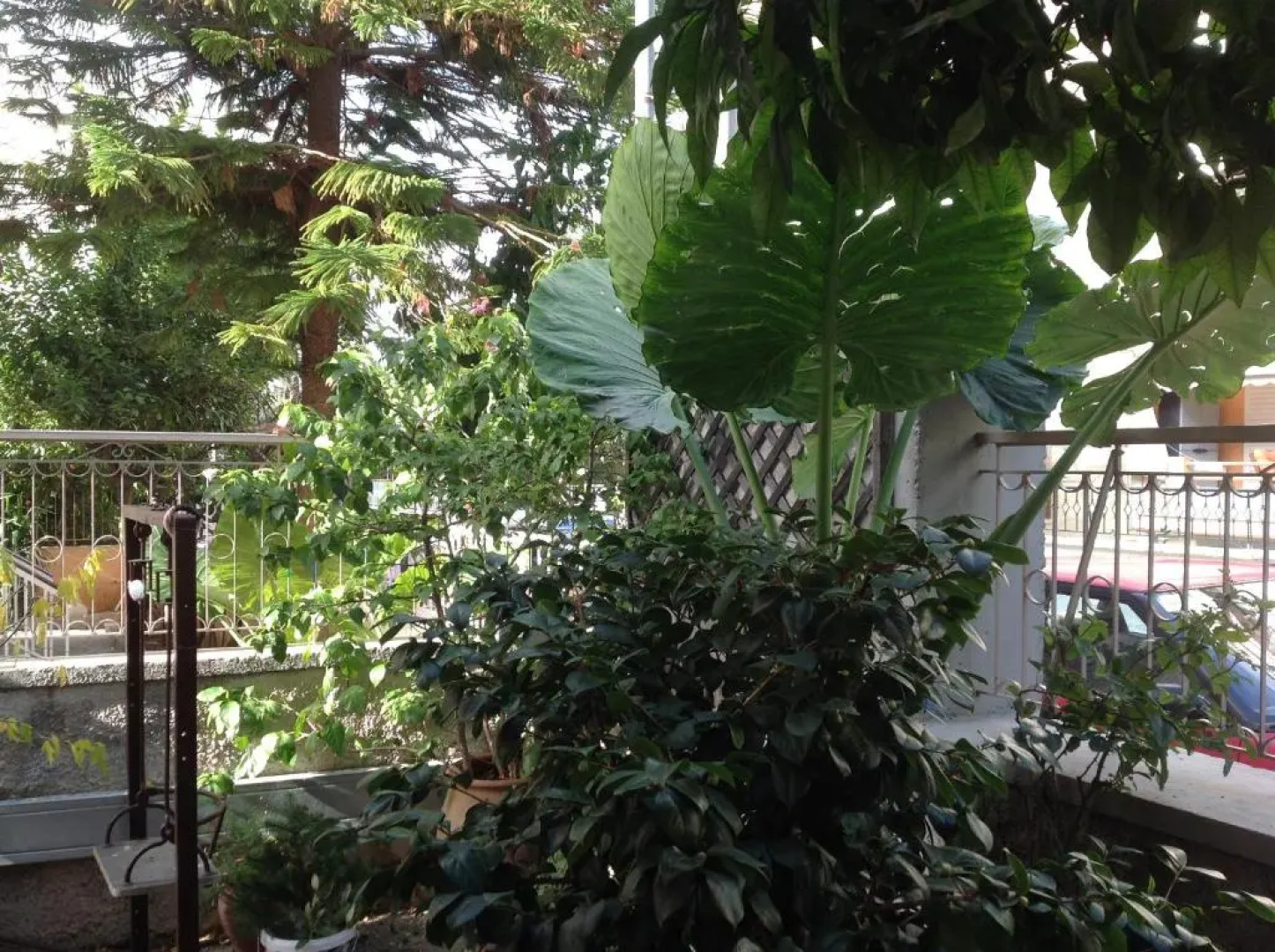 The 25sqm Sunny, Modern and Comfortable