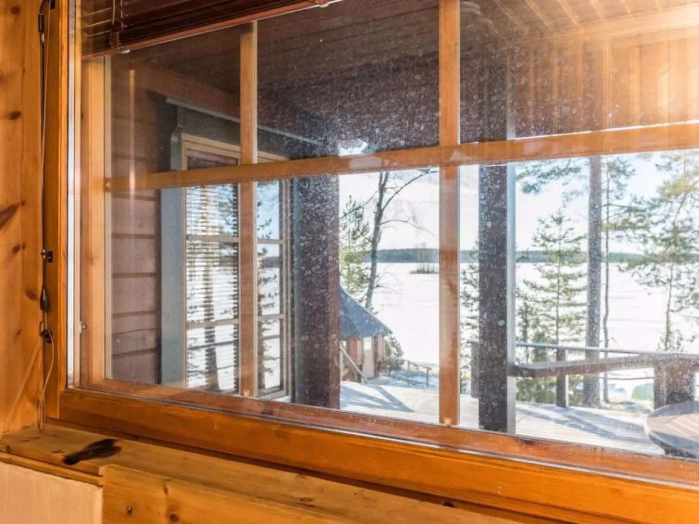 Puolen Hehtaarin Metsä