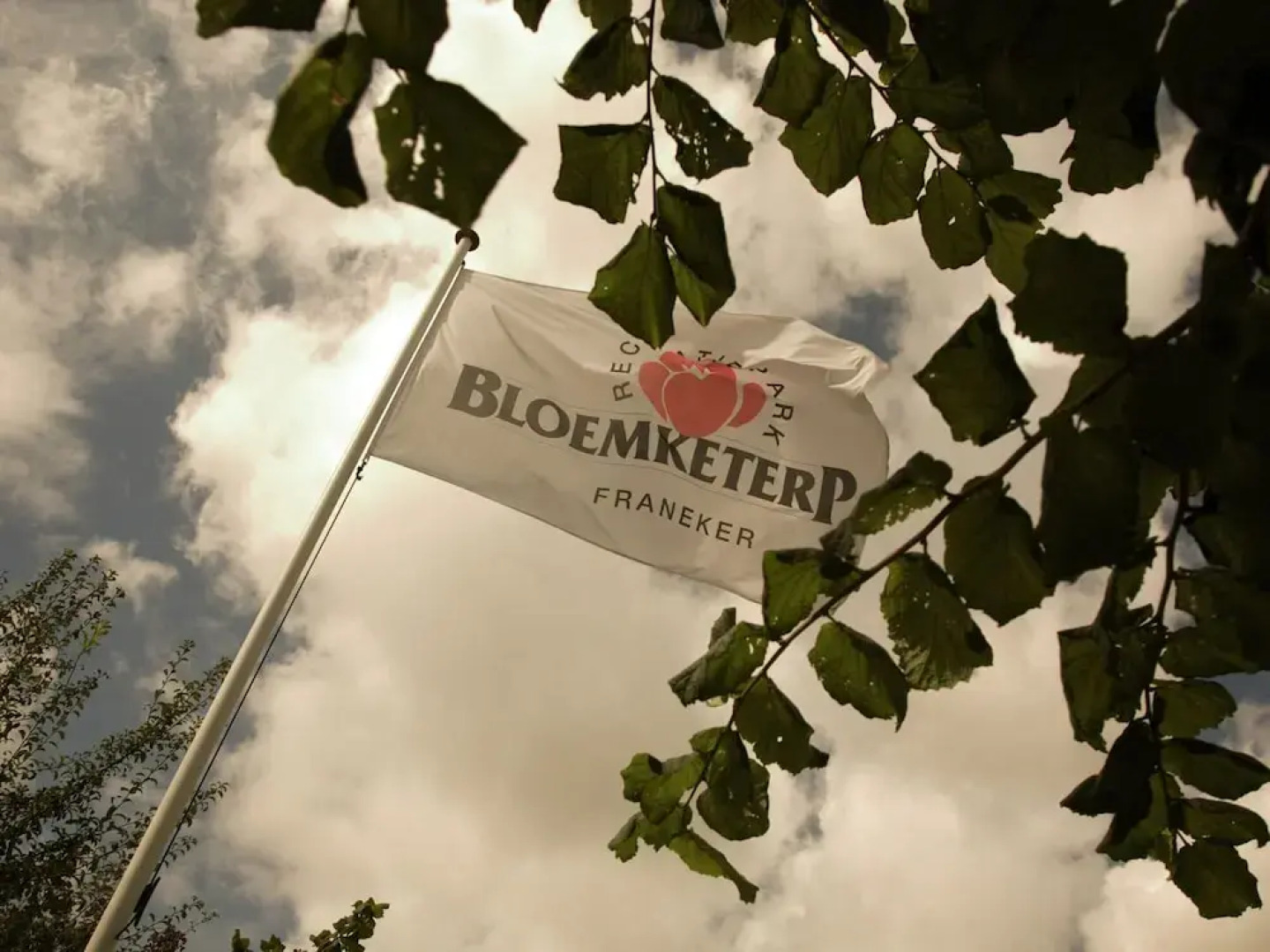 Nice House With a Dishwasher, Located in Friesland