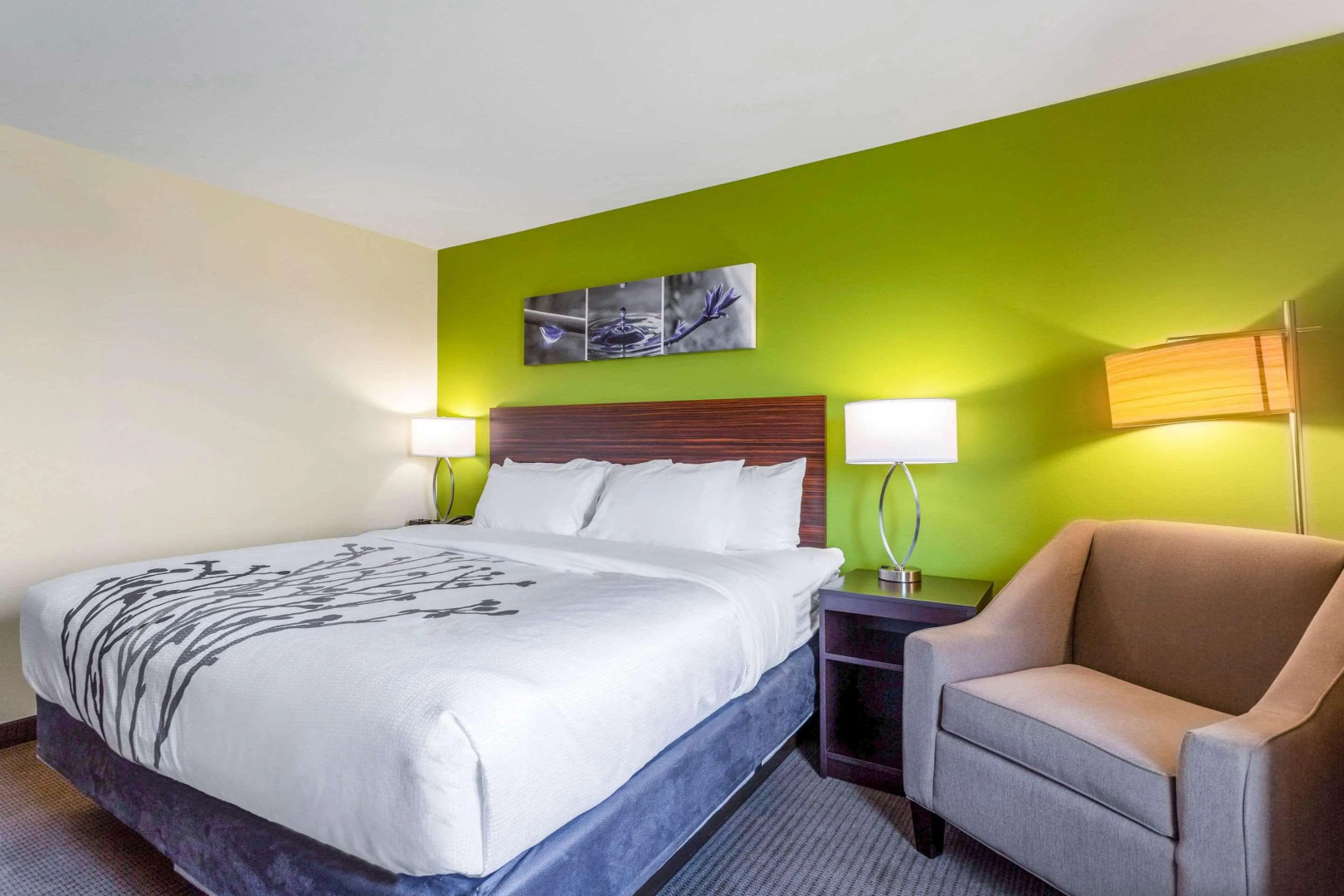 Sleep Inn Bowling Green North