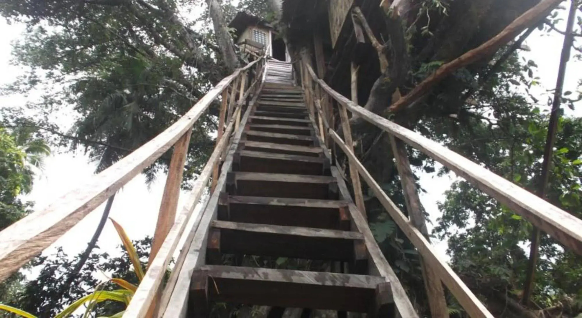 Tanna Lava View Bungalows