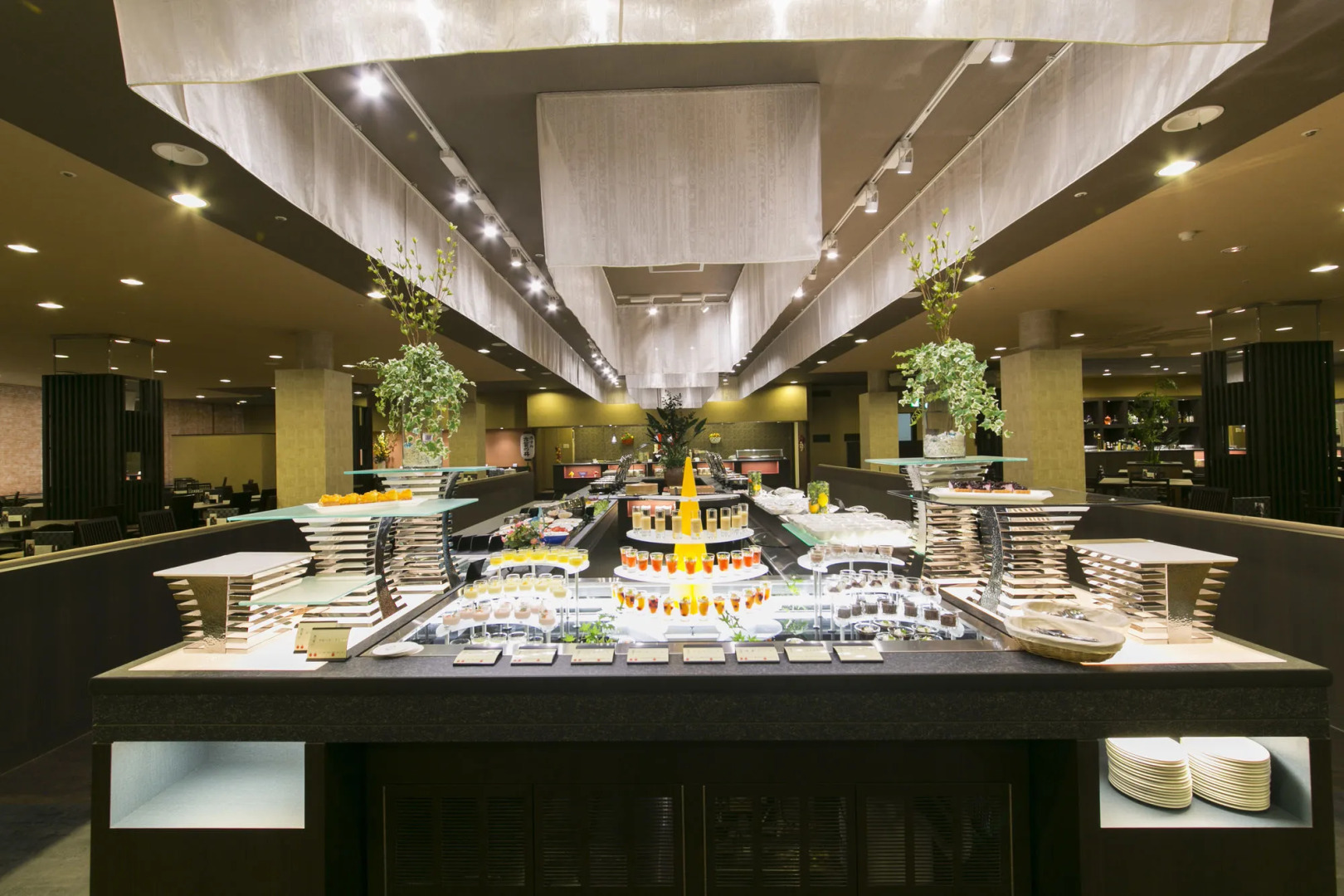 Ooedo Onsen Monogatari Premium Shirahama Saichoraku