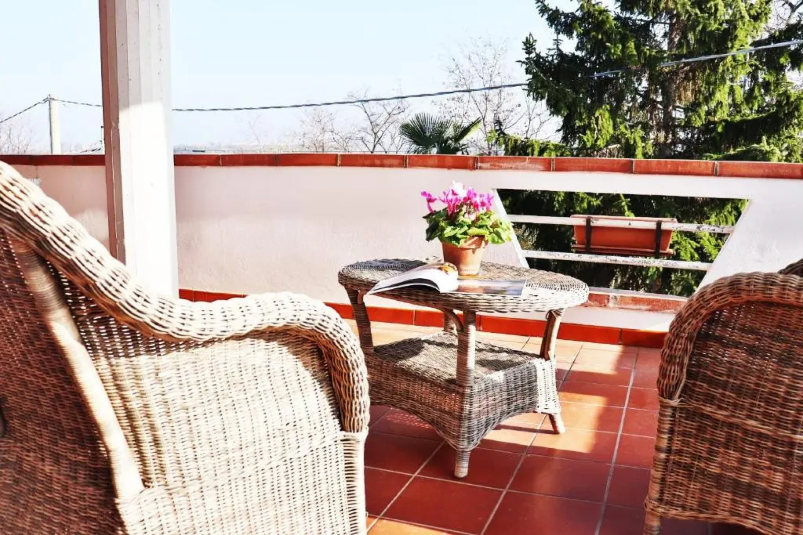 La Finestra Sugli Ulivi