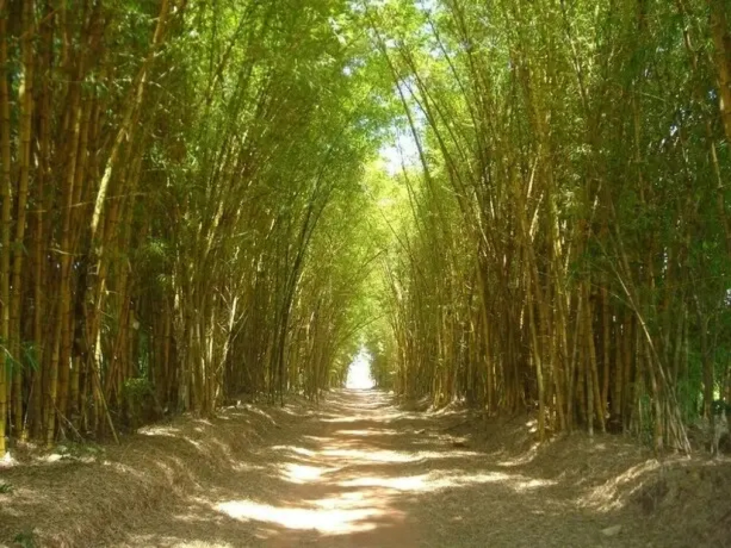 Pousada Fazenda Buracao