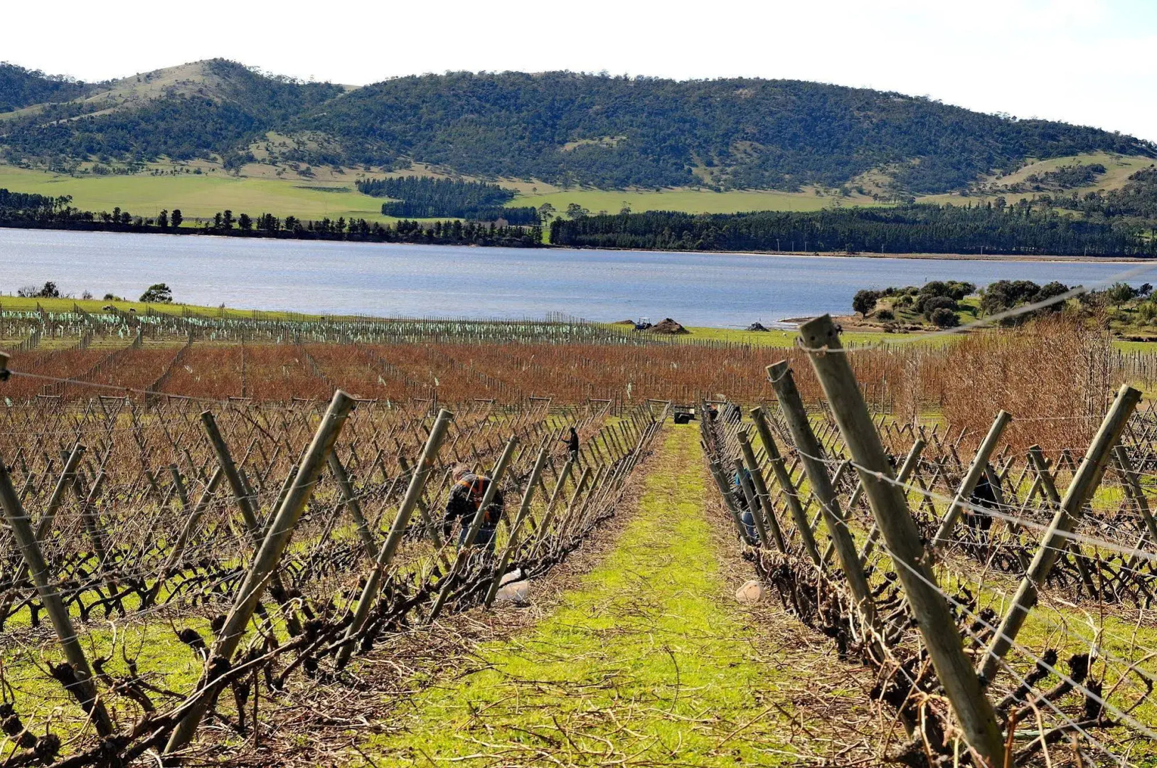 Riversdale Estate Cottages