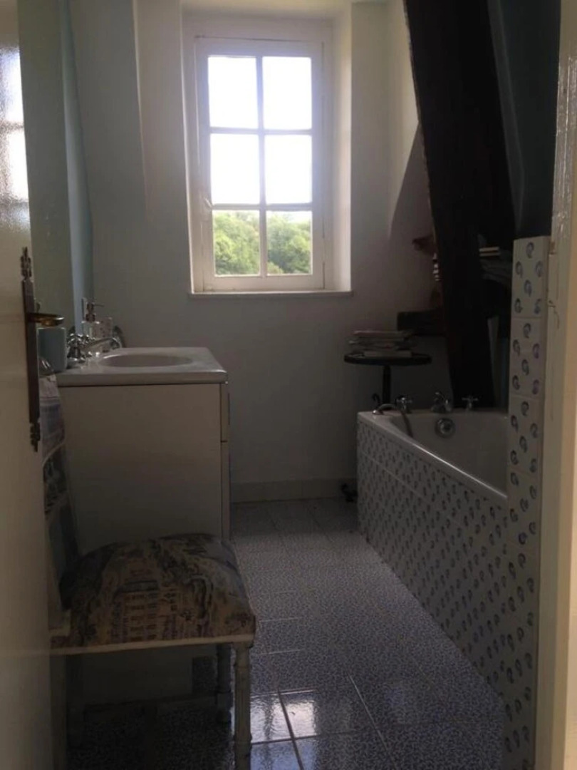 Château de Transière