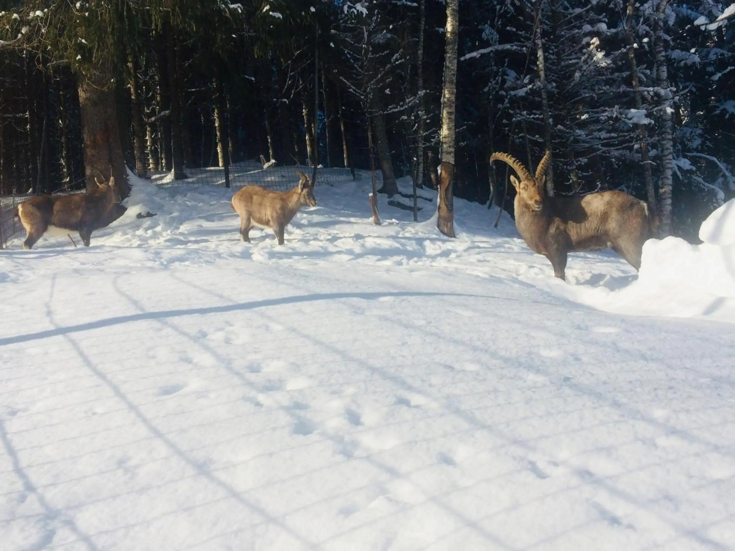 Appartement Einödberg