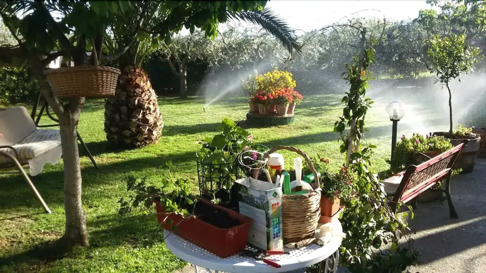 B&B L'Albero Di Antonia