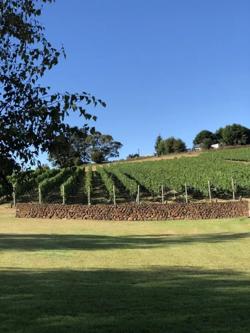 3 Willows Vineyard Cottage