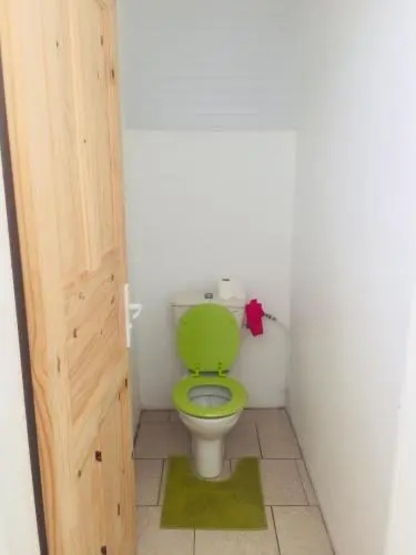 Tropic Arth Paradise