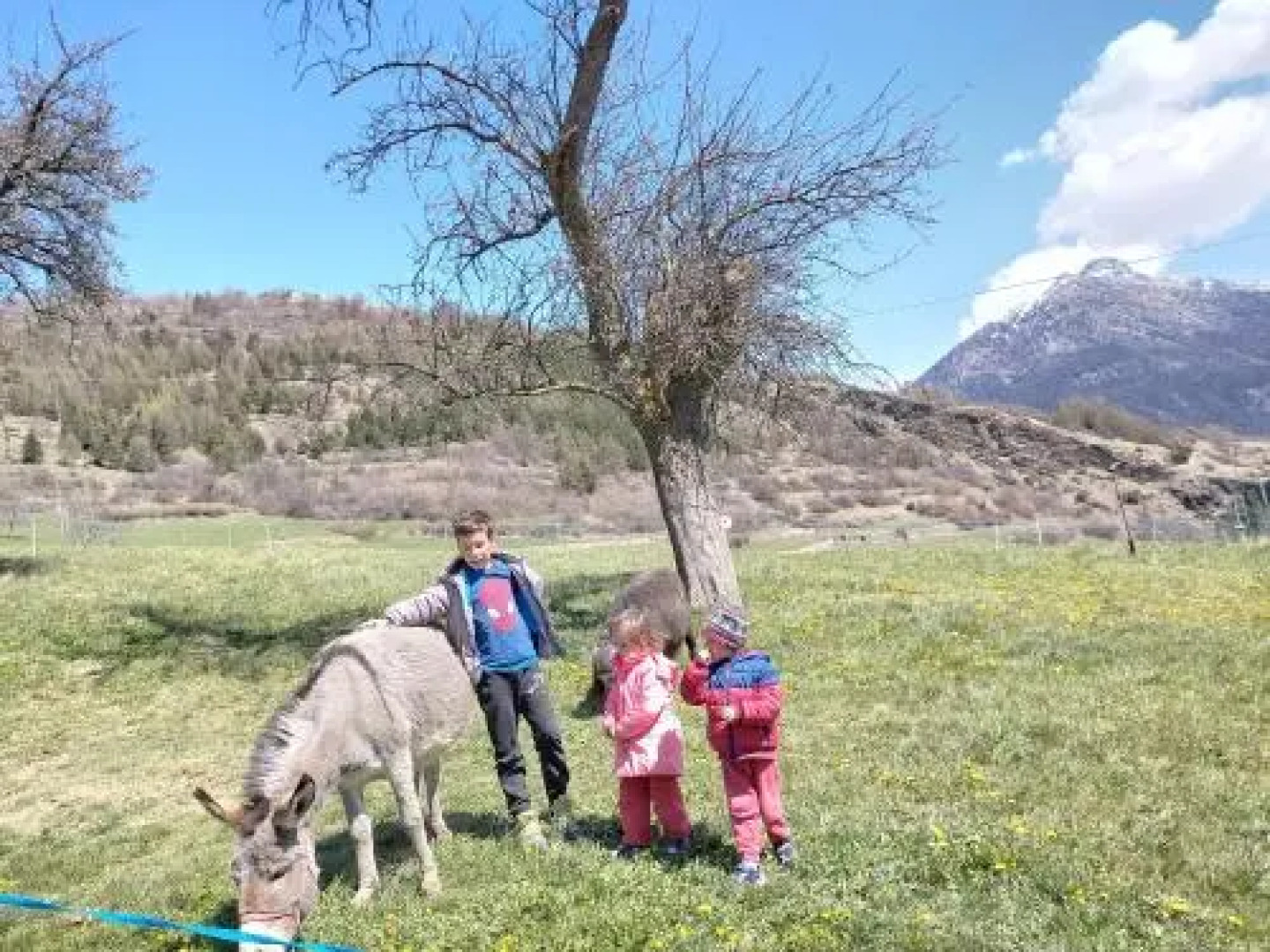 La Maison Du Bon Megnadzo
